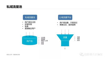 百度蜘蛛池价格:高效搭建蜘蛛池，助力网站SEO优化与流量提升