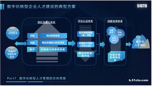 百度蜘蛛池收录:代放蜘蛛池，破解养殖难题，助力农业现代化