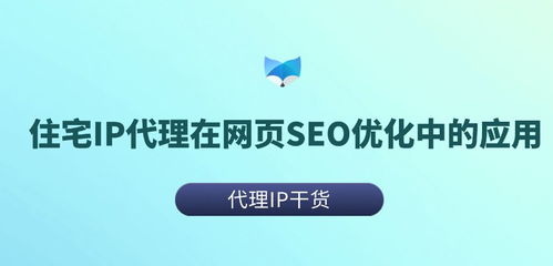 seo排名优化代理