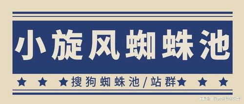 百度蜘蛛池出租:小旋风蜘蛛池代搭建，轻松开启高效SEO之旅