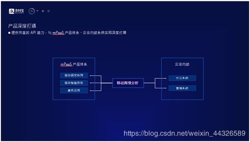 百度蜘蛛池引流:深度解析蜘蛛池在CSDN平台的应用与影响，技术挑战与应对策略