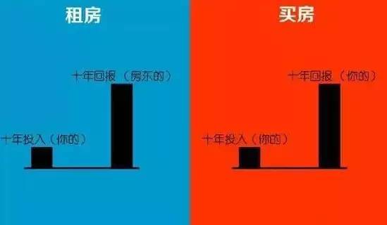 百度蜘蛛池出租:深度解析蜘蛛池费用，投资与回报的权衡之道