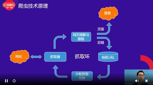 百度蜘蛛池优化:揭秘阿里蜘蛛池，技术背后的秘密与潜在风险