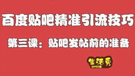 百度蜘蛛池引流:自制蜘蛛池，打造高效捕蛛利器，轻松捕捉家庭害虫