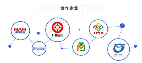 百度蜘蛛池咨询:深入解析Zblog蜘蛛池，助力网站SEO优化的利器