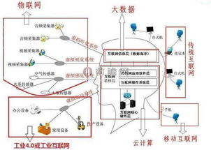 百度蜘蛛池租用:蜘蛛资源池，网络数据搜集的智慧之库