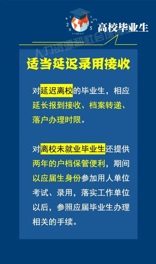 百度蜘蛛池咨询:蜘蛛池招聘，开启网络营销新篇章