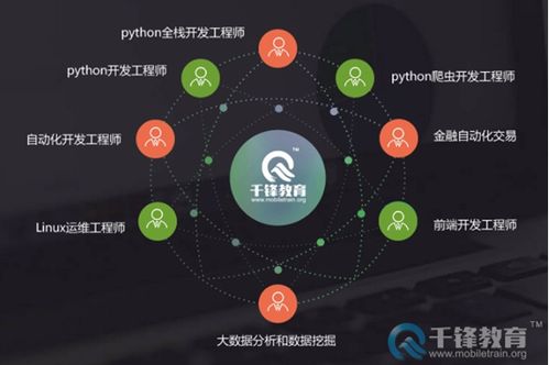 百度蜘蛛池效果:Python蜘蛛池，揭秘高效网络爬虫的奥秘