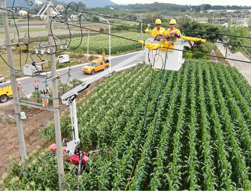 百度蜘蛛池咨询:蜘蛛池养殖，探索生态农业新领域，助力乡村振兴新篇章