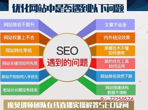 seo网络培训班