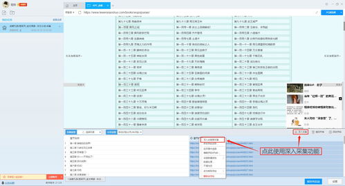 百度蜘蛛池咨询:北京360蜘蛛池，揭秘我国互联网大数据采集的利器