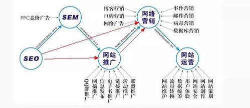 百度蜘蛛池优化:蜘蛛池出租运营，打造高效网络营销的新选择